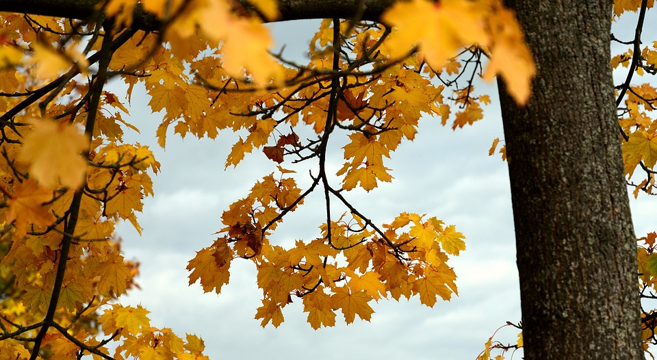 fall hvac fall hvac